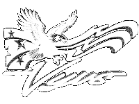 VYVSstore